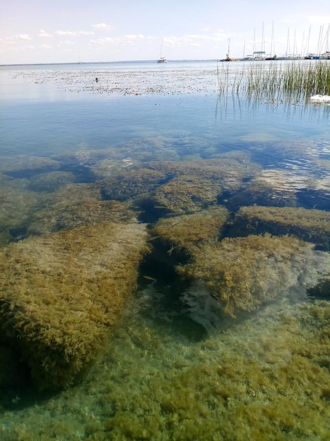 Sorompo Vendeghaz Hotel Balatonkenese Bagian luar foto